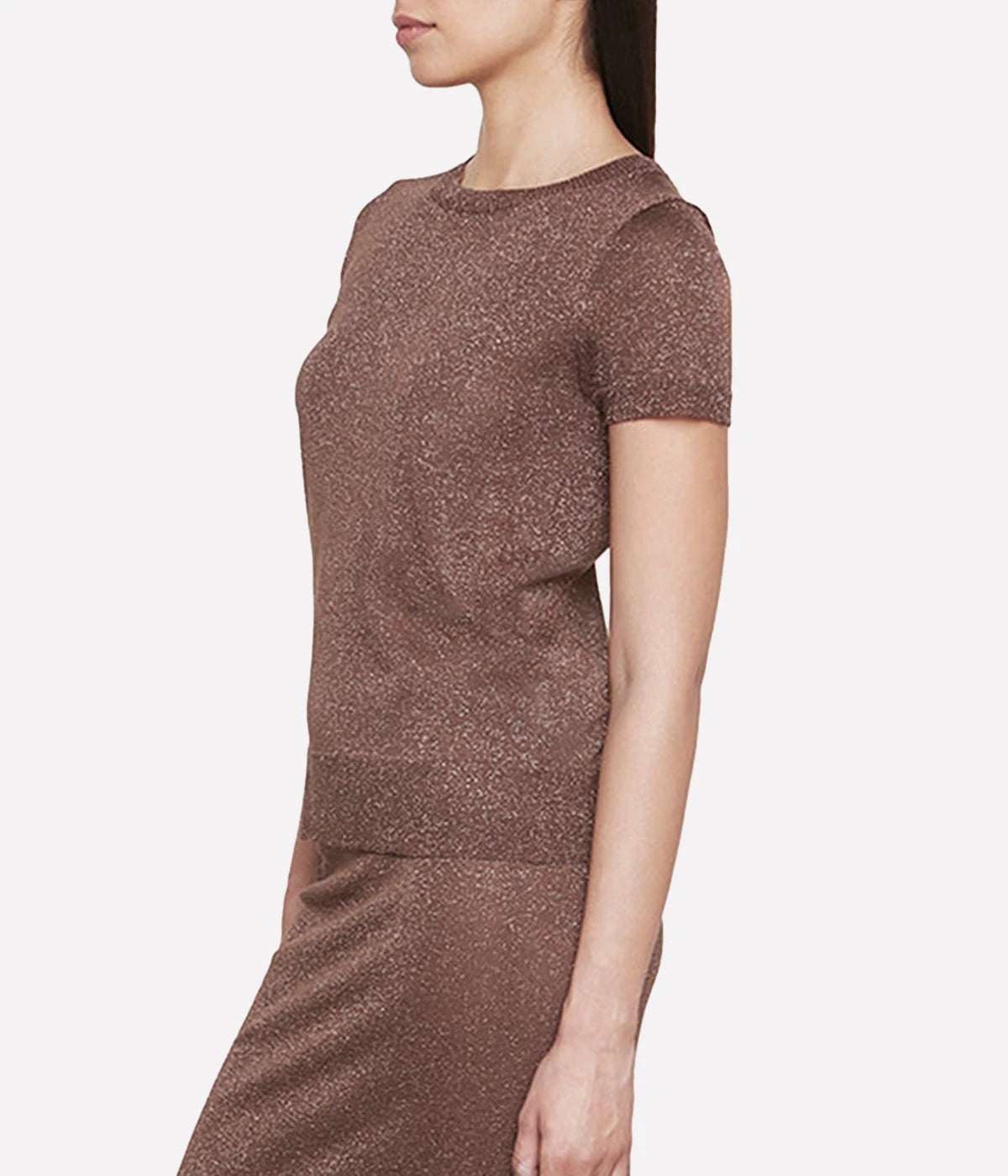 Lame Short Sleeve Sweater in Brown