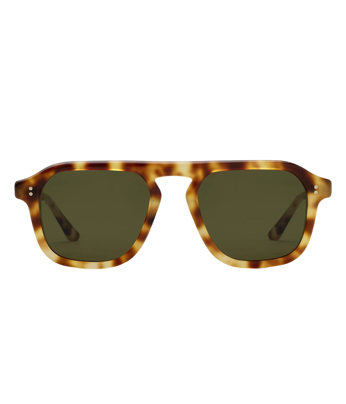 Zander Sunglasses in Hawksbill